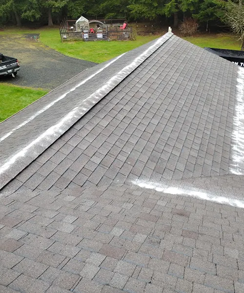 Roof Cleaning in Raymond 
